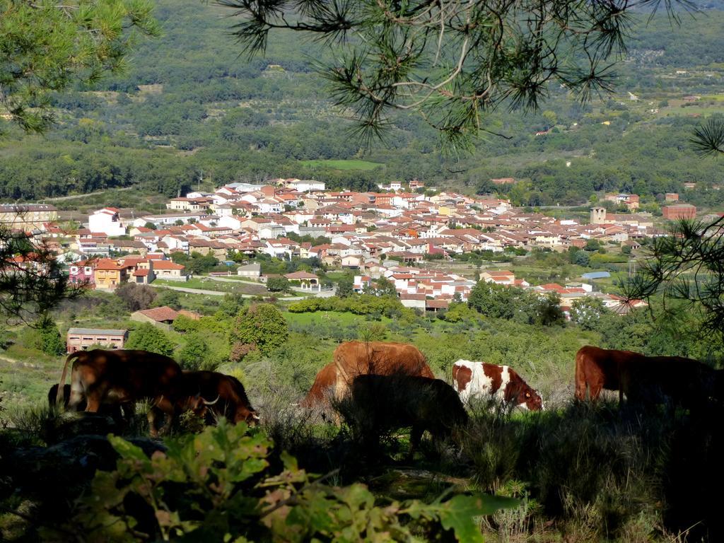 Apartamentos Rurales Entre Fuentes Cuacos De Yuste Exterior foto